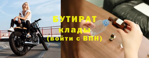 индика Каменногорск