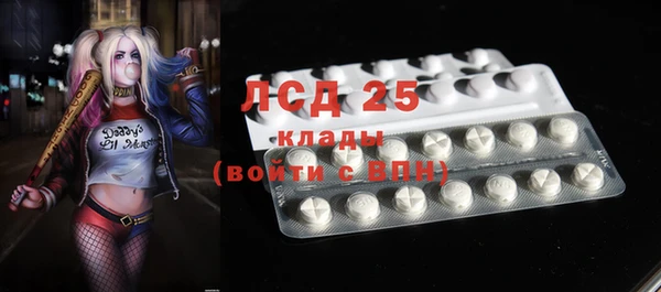 стафф Новодвинск