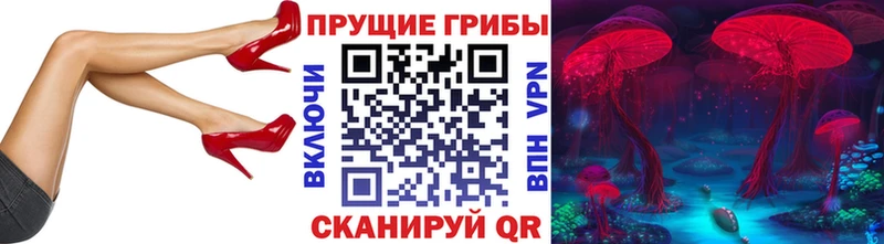 MEGA как войти Печоры Галлюциногенные грибы Magic Shrooms